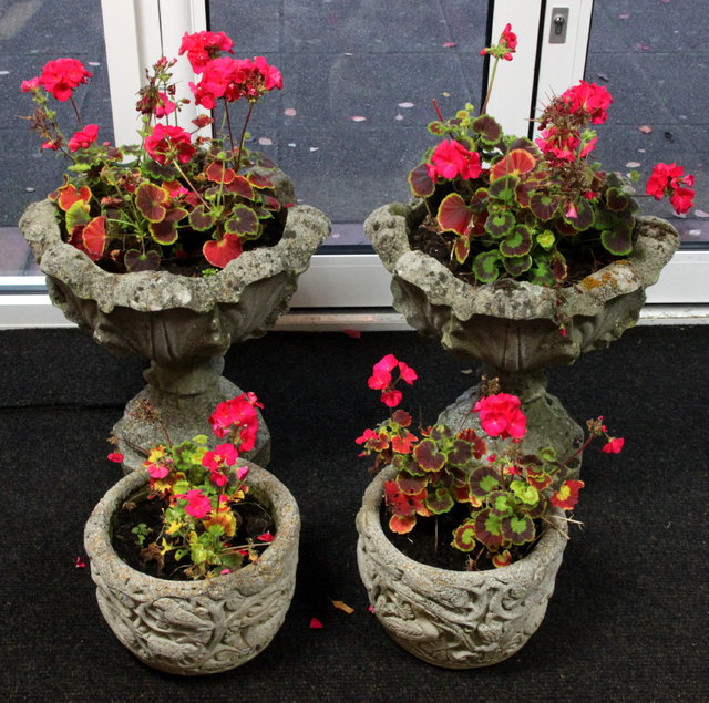 A pair of composition urns the leaf