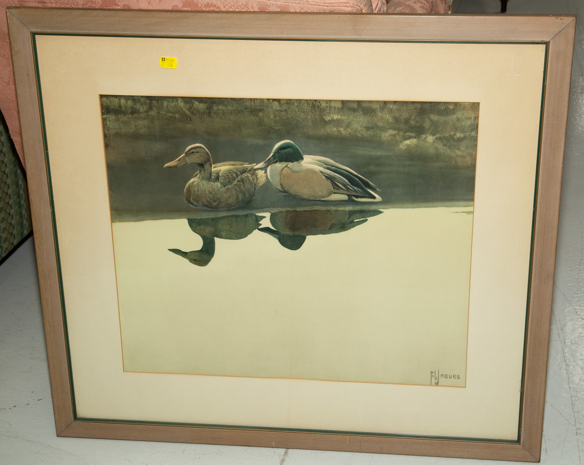A PAIR OF DUCKS, PRINT Large,