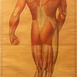 A Pair of German Large Medical