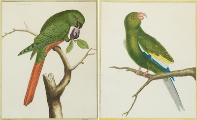 A Pair of Hand Colored
