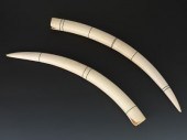 A Pair of Ivory Tusks A fine p