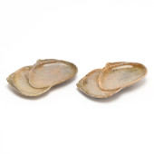 A PAIR OF JAPANESE CLAM SHAPED