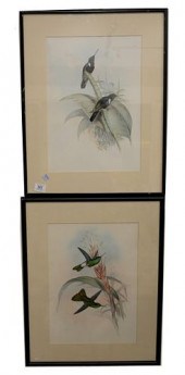 A PAIR OF JOHN GOULD (1804-188