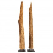 A PAIR OF LARGE DRIFTWOOD STAT