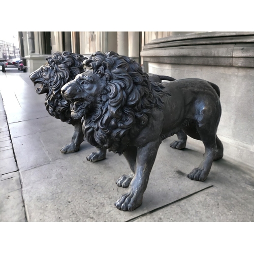 A PAIR OF LIFE SIZE BRONZE LION