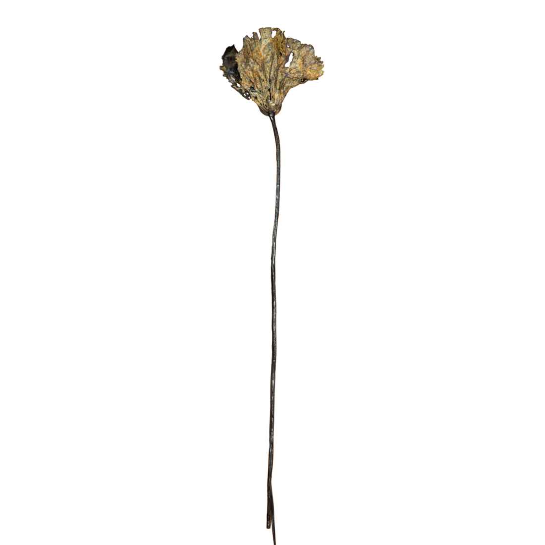 A PAIR OF LOTUS LEAF WALL LAMPS
