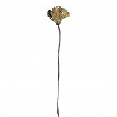 A PAIR OF LOTUS LEAF WALL LAMP