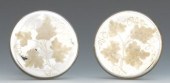 A Pair of Mercury Glass Draper