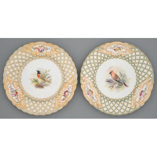 A pair of Minton ornithological