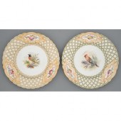 A pair of Minton ornithologica
