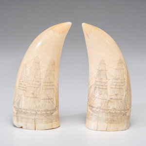 A Pair of Scrimshaw Sperm Whale's