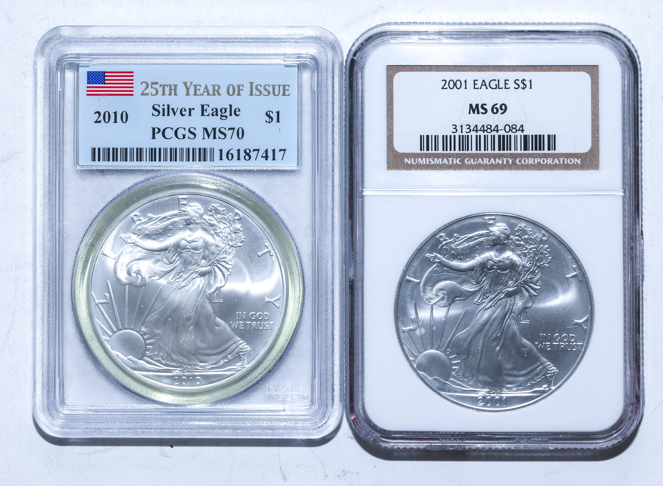 A PAIR OF SILVER EAGLES 2010