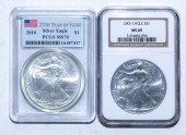 A PAIR OF SILVER EAGLES 2010 P