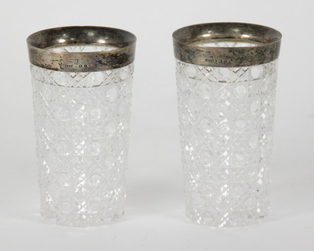 A pair of silver mounted cut