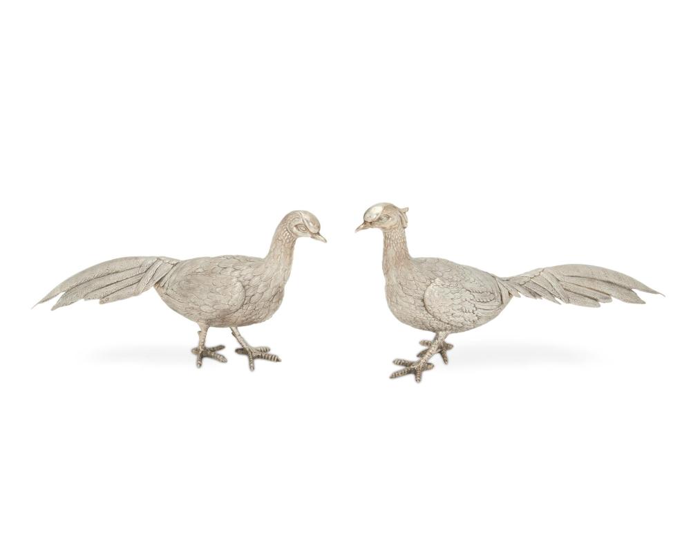 A PAIR OF SPANISH SILVER PHEASANTSA