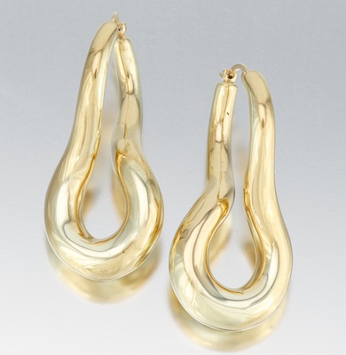 A Pair of Twisted Hoop Earrings