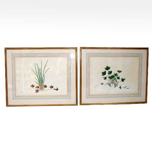 A Pair of Watercolor Botanical