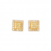 A PAIR OF YELLOW AND NEAR COLO