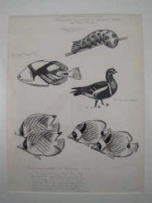 A pencil drawing of ducks in f