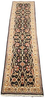 A Persian Bakhtiari Long Runner