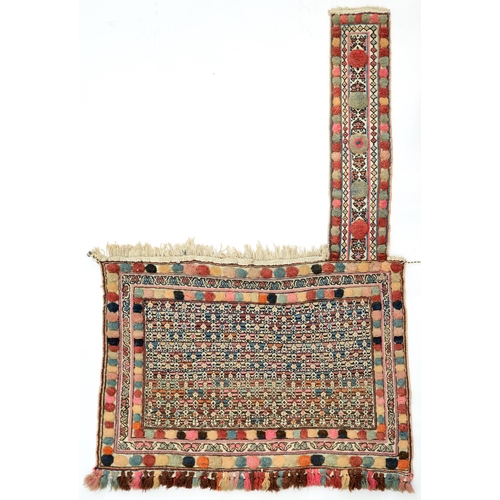 A Persian Luri tribal horse