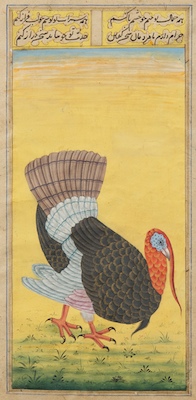 A Persian Manuscript Illustration