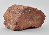A Petrified Tree Log Unidentif