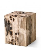 A PETRIFIED WOOD LOW TABLEA pe
