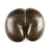 A POLISHED COCO DE MER FERTILI