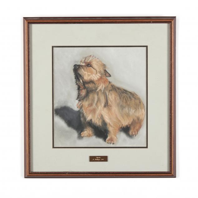 A PORTRAIT OF A TERRIER, DAPHNE