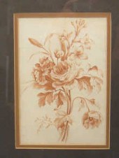 A red chalk flower study unsig