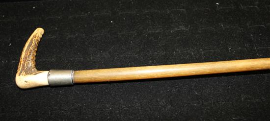 A rhinoceros horn riding crop