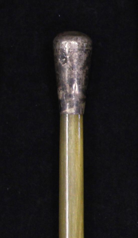 A rhinoceros horn swagger stick
