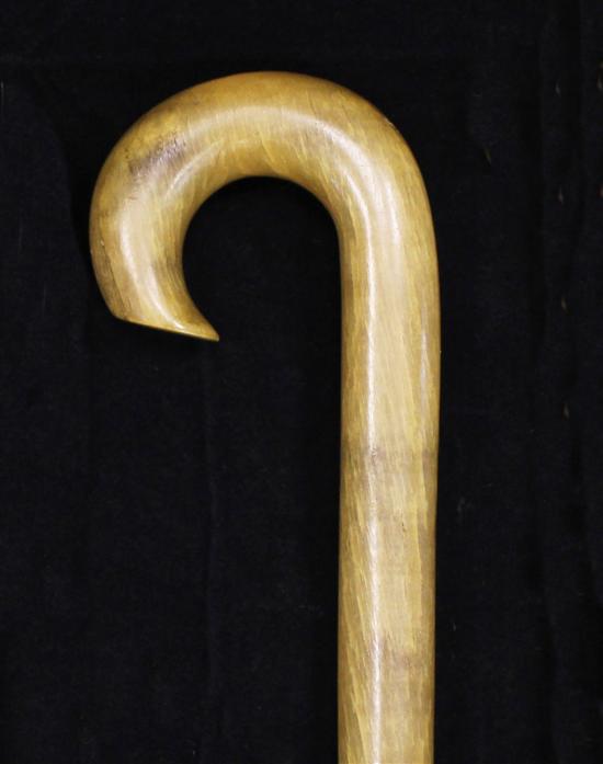 A rhinoceros horn walking stick