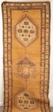 A Sarab runner, North West Per
