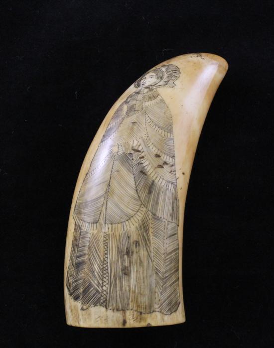 A Scrimshaw sperm whale tooth one