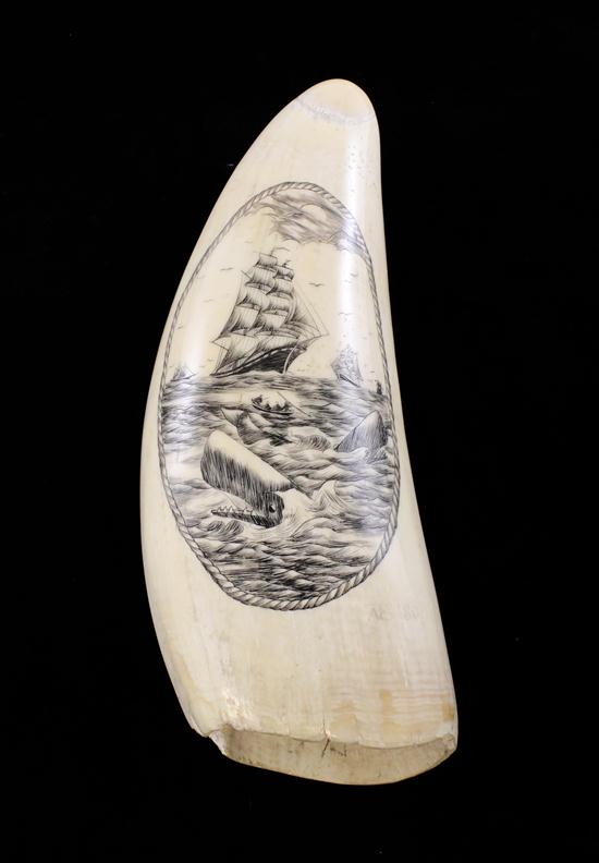 A scrimshaw sperm whale tooth