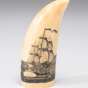A Scrimshaw Sperm Whale's Tooth 