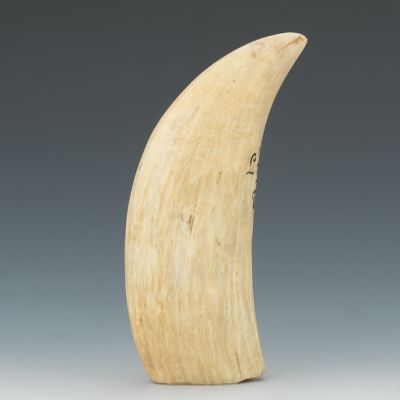 A Scrimshaw with Swedish