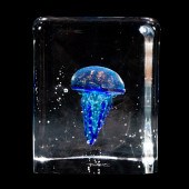 A SEGUSO VIRO MURANO GLASS AQU