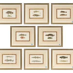 A Set of Eight Hand-Colored Fish