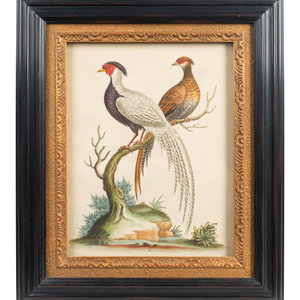A Set of Eight Hand-Colored