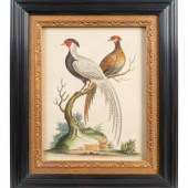 A Set of Eight Hand-Colored En