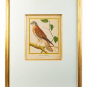 A Set of Four Hand-Colored Eng