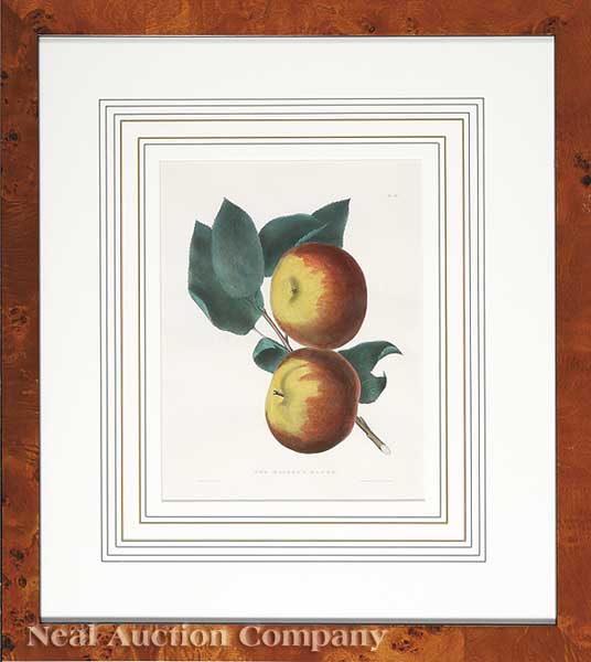 A Set of Six Antique Prints of