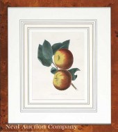 A Set of Six Antique Prints of
