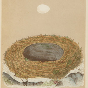 A Set of Six Prints from A