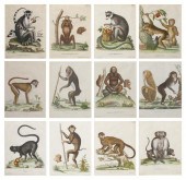 A Set of Twelve French Handcol