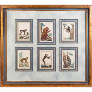 A Set of Twelve Hand-Colored Monkey