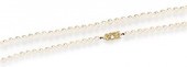 * A Single Strand Cultured Pea